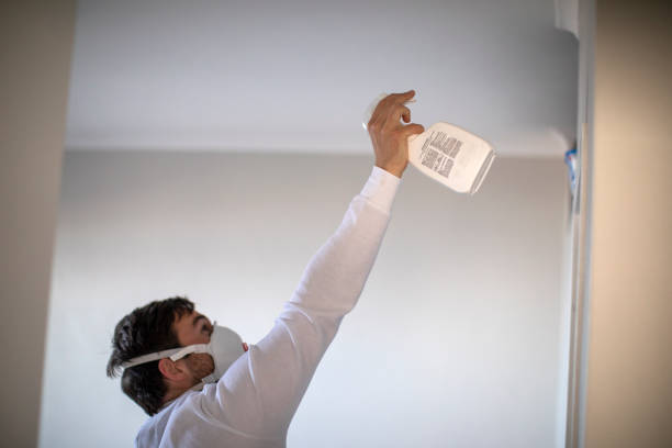Office Mold Removal Services in Colchester, IL