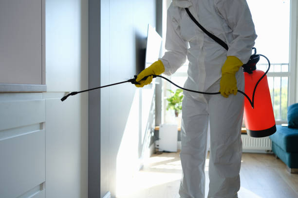 Best Mold Testing  in Colchester, IL
