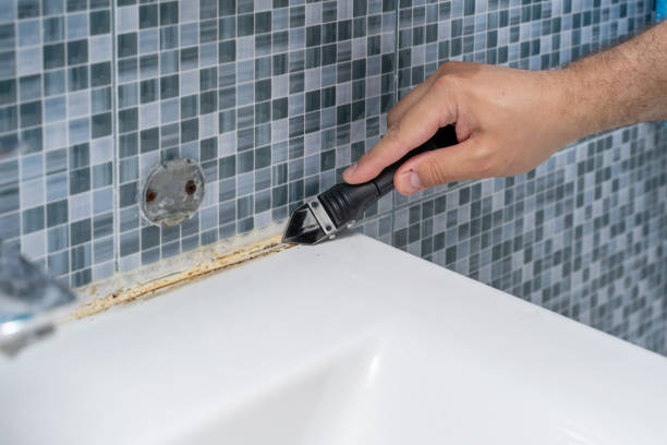 Best Emergency Mold Removal  in Colchester, IL