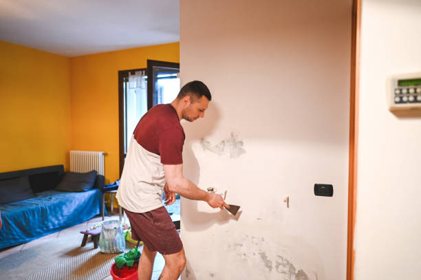 Best Attic Mold Removal  in Colchester, IL